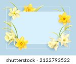 Romantic delicate background with floral border of daffodils. Template for greeting card, invitation. Vector illustration.
