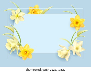 Romantic delicate background with floral border of daffodils. Template for greeting card, invitation. Vector illustration.