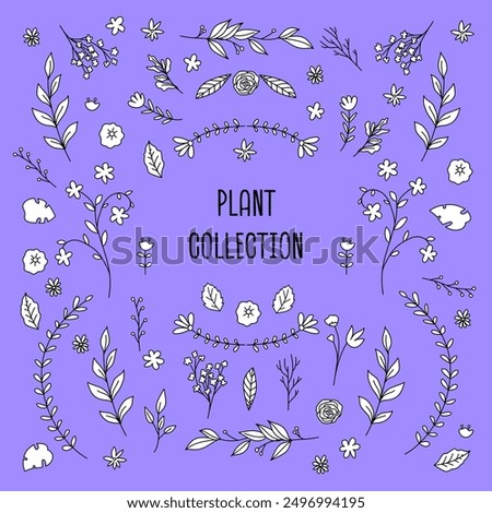 Romantic and elegant line illustration objects with shapes suitable for tattoos, weddings, dates, appreciation, greeting cards, etc. Plant, flower, leaf hand drawings