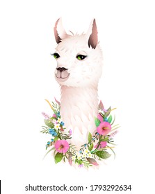 Romantic female Lama portrait in flowers laurel, tee shirt beauty design or other apparel animal print. Trendy vector Llama design in watercolor realistic style. Fashionable floral artistic drawing.