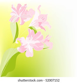 Romantic floral background