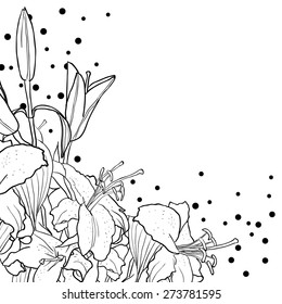 Romantic floral background for wedding, funeral, birthday, invitation. Vector hand drawn lily.