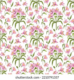 Patrón floral romántico con Alstroemeria. Ilustración vectorial con flores rosadas sobre el fondo blanco