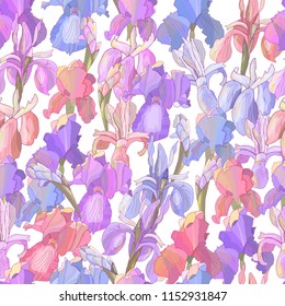 Romantic floral seamless pattern with irises.