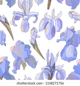 Romantic floral seamless pattern with irises.