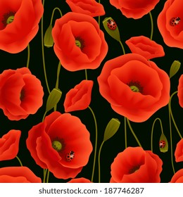 Romantic floral seamless pattern of poppy flowers and ladybirds vector illustration