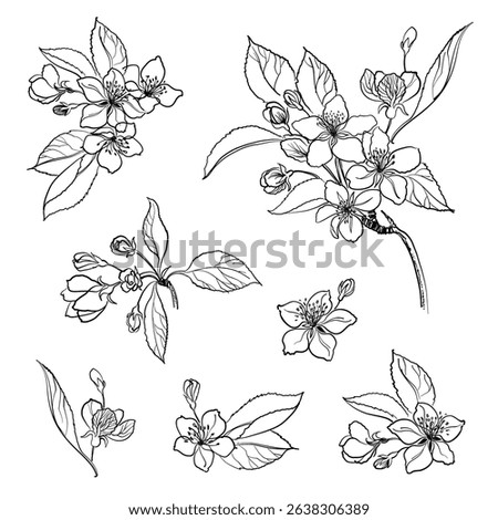 Romantic floral vector hand drawn apple sakura jasmine flowers leaves element set botanical background summer garden textile card paper wrapping packaging wedding design blossom line art illustration