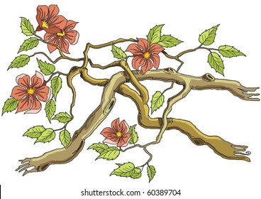 Romantic Flower Background
