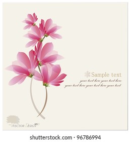 Romantic Flower Background. Vector illustration.