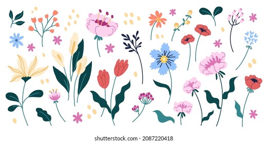 Romantic flower beautiful collection. Drawing Flower compositions set. Rose, leaves, bud, floral elements. Vector illustration