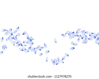 Romantic flower petals flying vector background. Spring blossom elements, cherry, peach or apple bloom petals falling windy vector design.