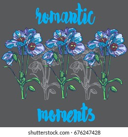 romantic flowers. Color ,graphic, vector illustration with lettering for salon decor, design