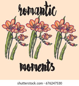 romantic flowers. Color ,graphic, vector illustration with lettering for salon decor, design