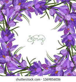 Romantic frame with crocuses. Blank square template of spring purple flowers.
