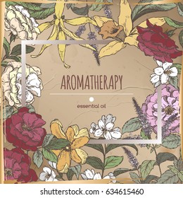 Romantic frame template with Damask roses, vanilla, ylang-ylang, jasmine, mint and eucalyptus sketch on vintage background. Aromatherapy series. Great for greeting card design, cooking or gardening.