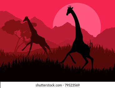 Romantic giraffe couple running in wild nature landscape illustration