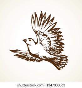 Romantic grace collurio on white heaven backdrop. Freehand outline black ink hand drawn lanius birdie logo emblem picture sketchy in art vintage doodle style pen on paper space for text. Closeup view