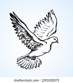 Romantic grace volant dove isolated on white background. Pax allegory concept or bridal card. Freehand ink drawn icon sketchy in art doodle style pen on paper. View closeup with space for text on sky