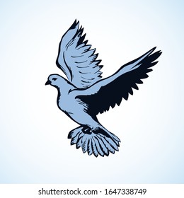 Romantic grace volant dove isolated on white background. Pax allegory concept or bridal card. Freehand ink drawn icon sketchy in art doodle style pen on paper. View closeup with space for text on sky