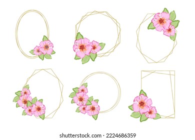 Flores rosa rosadas dibujadas a mano románticas coronan flores. Marcos de oro geométrico. Marcos florales de color acuático. Ilustración vectorial de material.