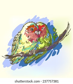Romantic image of a pair of parrots lovebirds, color sketch/Colored Sketch Parrots Lovebirds/Colored Lovebirds on a Branch