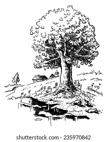 Romantic landscape with big old oak tree standing alone and stream - drawing. Ink drawing converted to vectors. Ready to change the composition and colors.