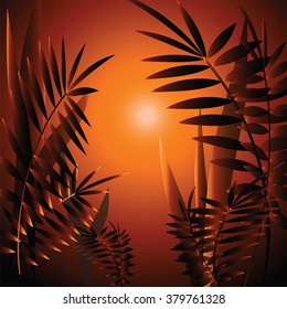 Romantic landscape with fern leaves on background of sunset