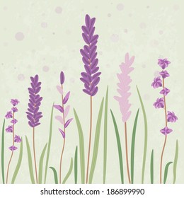 Romantic lavender flovers. Vector EPS10.