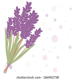 Romantic lavender flowers isolated in white background. Vector EPS10.