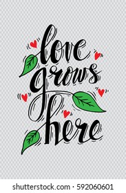 Romantic love lettering. Love grows here.