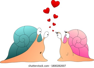 romantic meeting of two snails