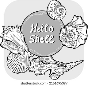 Romantic nautical background frame border. lettering and shells collection decoration. Element template for memory card, poster. Hand drawn vector vintage illustration. Grey cartoon style drawing.