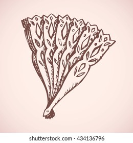 Romantic old stylish elegant plastic fan isolated on white backdrop. Freehand outline ink drawn sign sketchy in art antique scribble style pen on paper. Close-up view with space for text