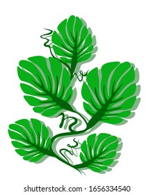 Patrón romántico con hojas verdes. Rama de rizo abstracta en un fondo claro. El adorno floral para su diseño. Ilustración vectorial EPS10.