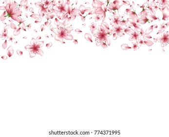 Romantic peach or chinese cherry blossom petals blowing flying, flower elements falling from the top vector illustration. Cherry petals and pink flower vector elements flying, bloom confetti scatter.