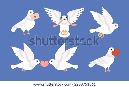 Romantic pigeons set, bird carrying wedding ring, heart and love letter - cartoon flat vector illustration isolated. Valentine s day love dove. Cute animal drawing.