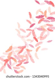 Romantic pink flamingo feathers vector background. Wildlife nature isolated plumage. Fluffy twirled feathers on white design. Smooth plumelet tribal ornate graphics.