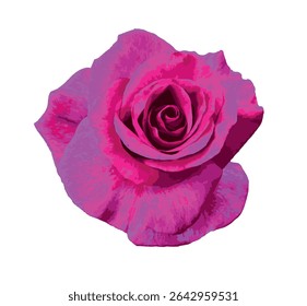 Romantic pink rose petals close-up texture background for Valentine's Day. Irregular flower petals pattern. Depply floral texture template. Natural background backdrop pattern. Vector illustration.