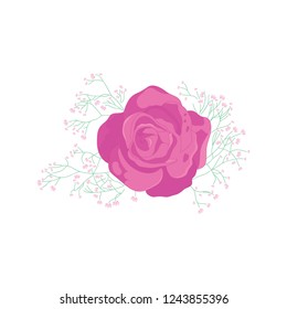 romantic pink roses