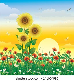 romantic postcard with a sunflowers