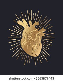 Romantic poster with golden shining anatomically correct human heart. Hand drawn textured on black background. For posters, postcards, banners, design elements