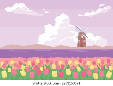 Romantic purple background. There is a windmill in the distance and  tulip flower field.