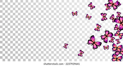 Romantic purple butterflies abstract vector illustration. Spring little insects. Wild butterflies abstract girly wallpaper. Gentle wings moths patten. Garden creatures.