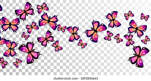 Romantic purple butterflies cartoon vector illustration. Spring funny insects. Detailed butterflies cartoon fantasy background. Delicate wings moths graphic design. Fragile beings.