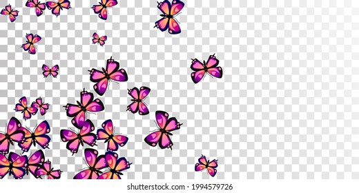 Romantic purple butterflies cartoon vector illustration. Spring pretty insects. Wild butterflies cartoon dreamy background. Gentle wings moths graphic design. Nature beings.