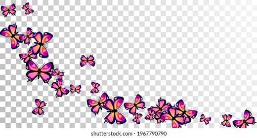 Romantic purple butterflies flying vector wallpaper. Spring ornate insects. Decorative butterflies flying girly background. Sensitive wings moths patten. Fragile beings.
