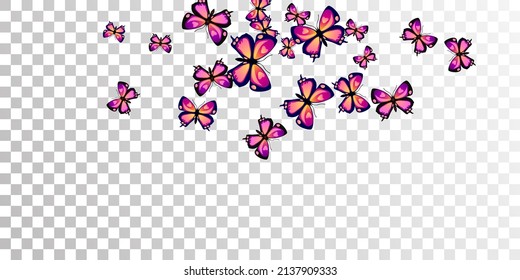 Romantic purple butterflies isolated vector wallpaper. Summer funny insects. Decorative butterflies isolated fantasy illustration. Gentle wings moths patten. Garden creatures.