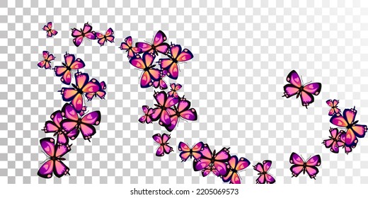 Mariposas púrpura románticas aisladas ilustraciones vectoriales. Insectos coloridos de verano. Mariposas silvestres aisladas de fondo soñador. Las polillas de las alas de la tira patten. Seres naturales.