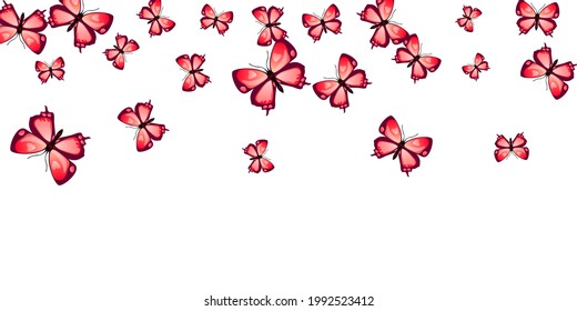 Romantic red butterflies isolated vector background. Summer ornate insects. Detailed butterflies isolated baby wallpaper. Delicate wings moths graphic design. Nature beings.