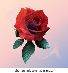 Romantic red rose low poly style on Pink Blue Background